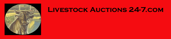 Livestock Auctions 24-7.com